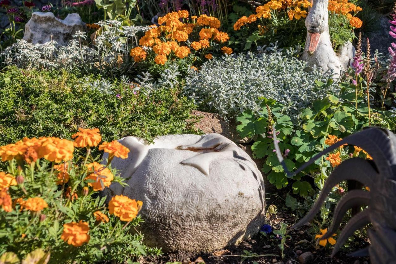 Tonigbauernhof Blumenwiese Скена Экстерьер фото